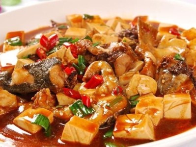 鲢鱼炖豆腐的家常做法，豆腐烧鲶鱼的做法大全